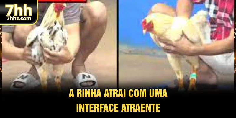 A rinha atrai com uma interface atraente
