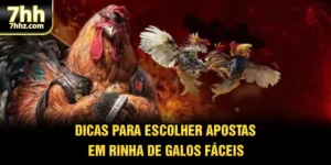 Dicas Para Escolher Apostas Em Rinha De Galos Fáceis